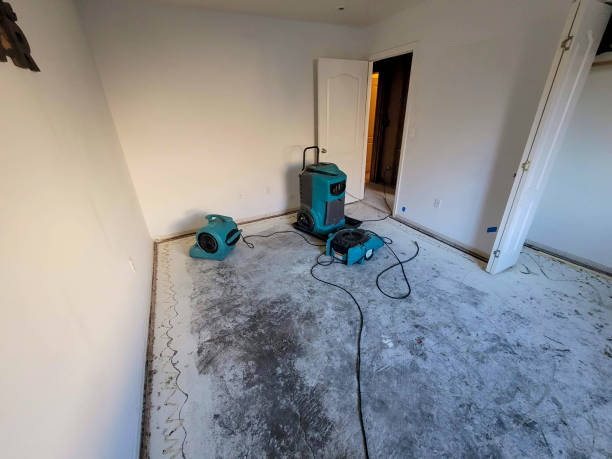 Best Fire Damage Restoration  in Alpha, NJ