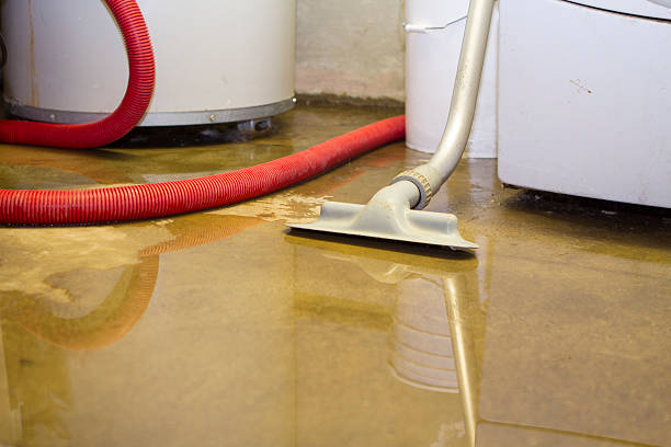 Best Local water damage restoration  in Alpha, NJ