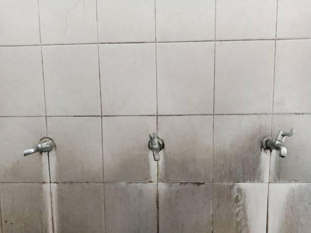 Best Emergency water extraction  in Alpha, NJ