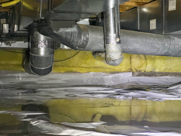 Best Water damage restoration company  in Alpha, NJ