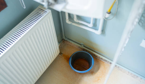 Best Water damage contractors near me  in Alpha, NJ