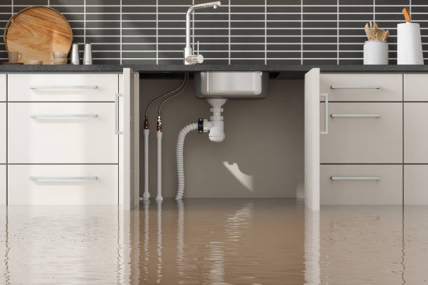 Best Water damage contractors near me  in Alpha, NJ