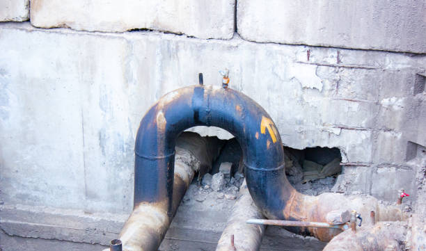 Best Water damage restoration mold remediation  in Alpha, NJ