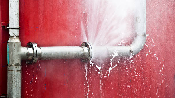 Best Flooded house restoration  in Alpha, NJ